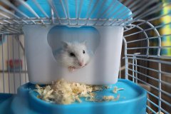 In His House