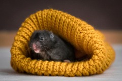 Maybe This Hat's A Bit Too Big For Me!
