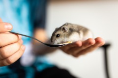 Eating From a Spoon